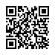 QR Code (код быстрого отклика)