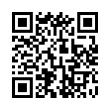 QR Code (код быстрого отклика)