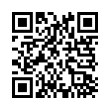 QR Code (код быстрого отклика)
