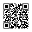 QR Code (код быстрого отклика)