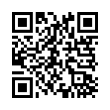 QR Code (код быстрого отклика)